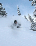 Alta Powder Skier, Ca 2007