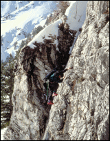 Craig Dillon